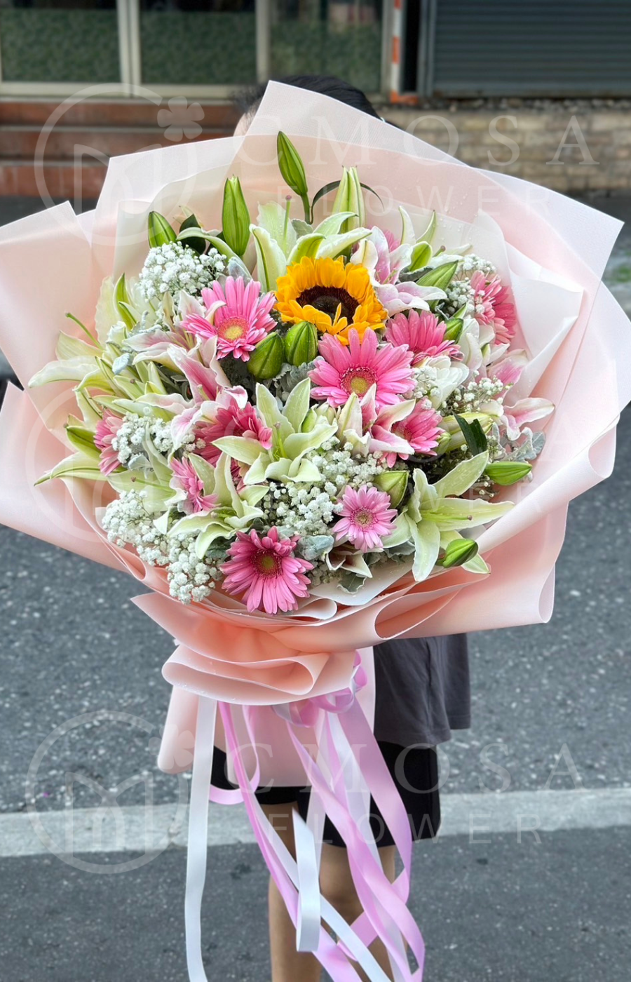 ดอกทิวลิป สีสันนุ่มนวล นิยมจัดช่อวาเลนไทน์และช่อของขวัญ